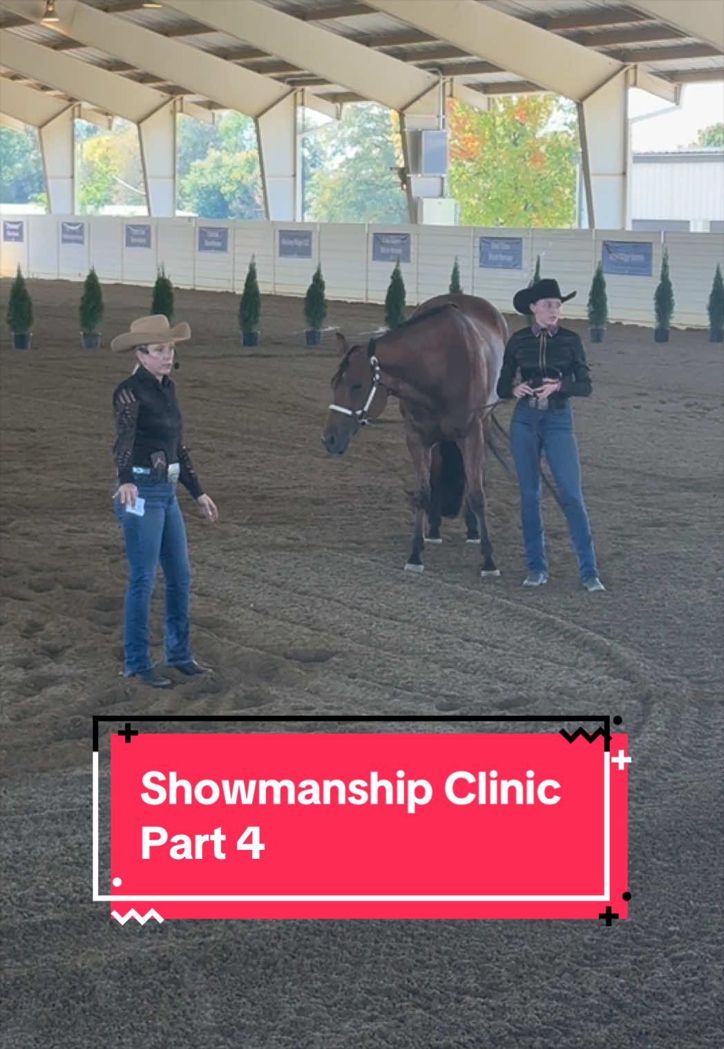 @yourhorseandponyleader