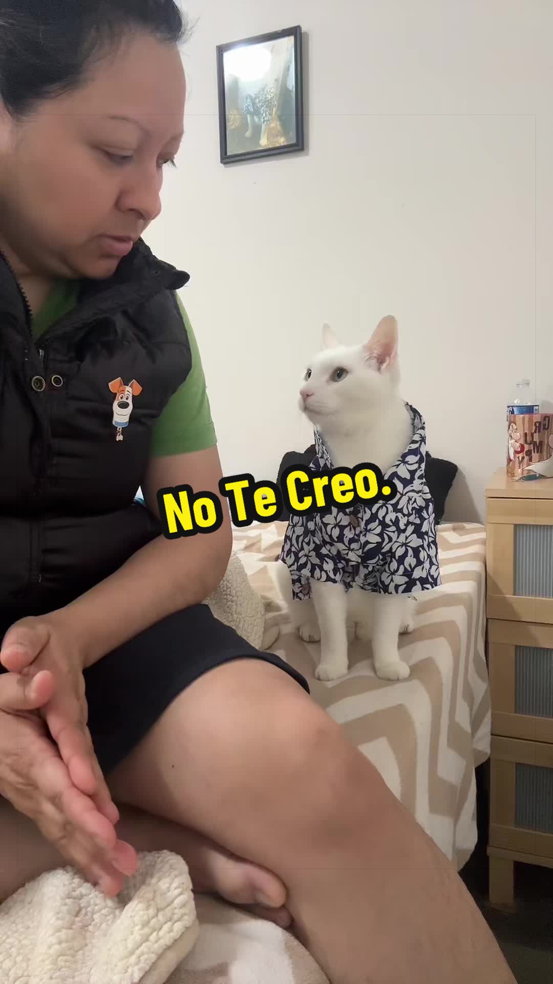 @🦖 MEOWassic CAT😺