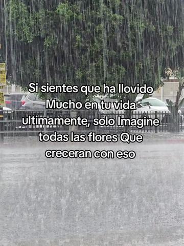 @🪸latinablogger