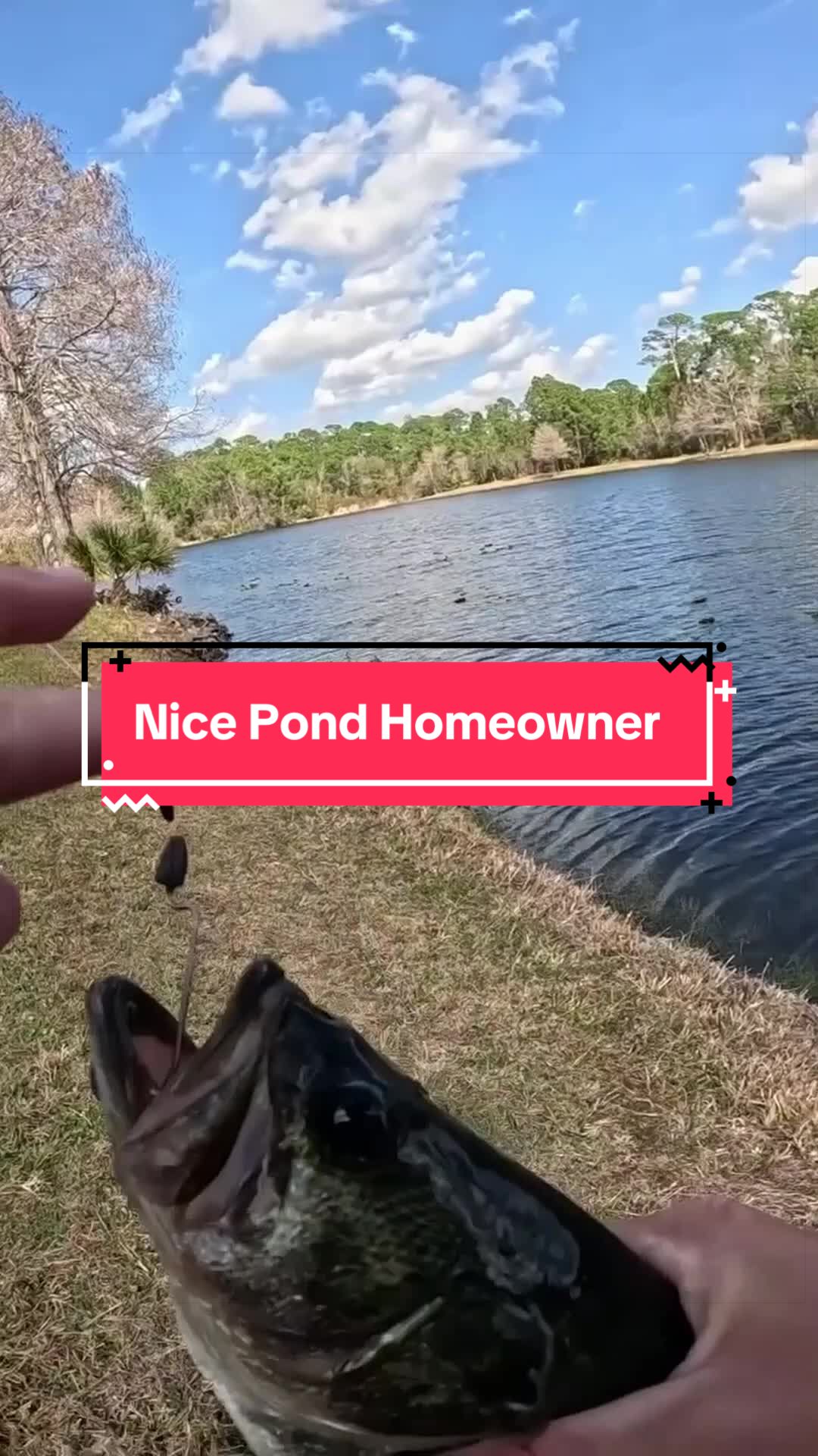 @TylersReelFishing