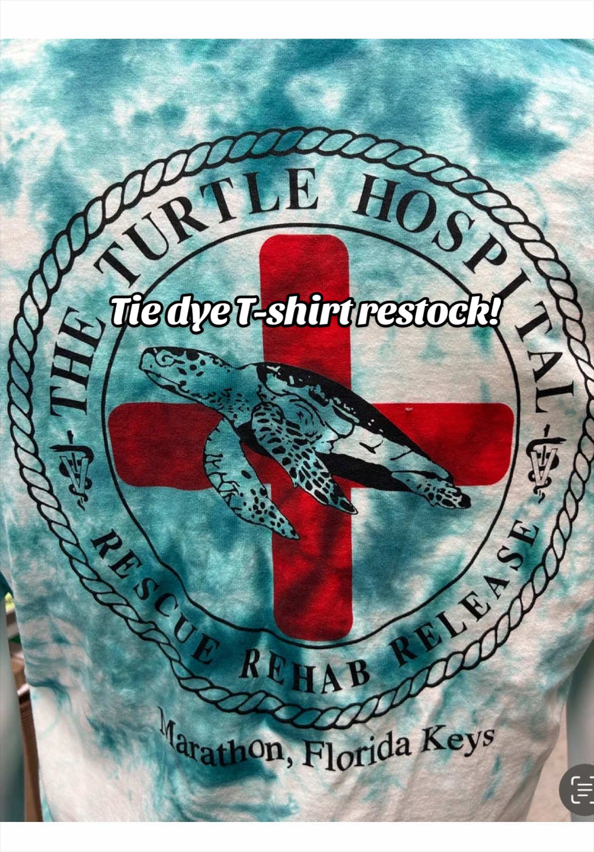 @The Turtle Hospital