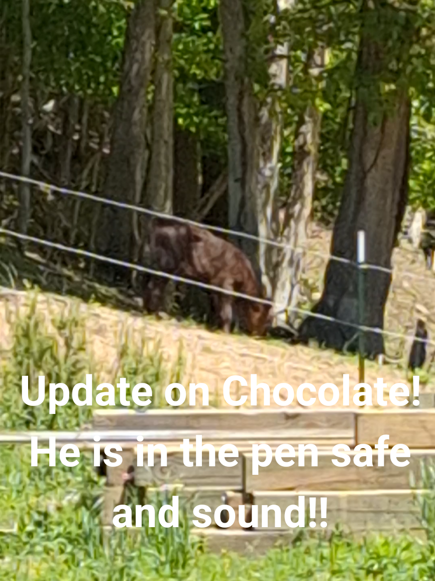@Grand_Hill_Farm
