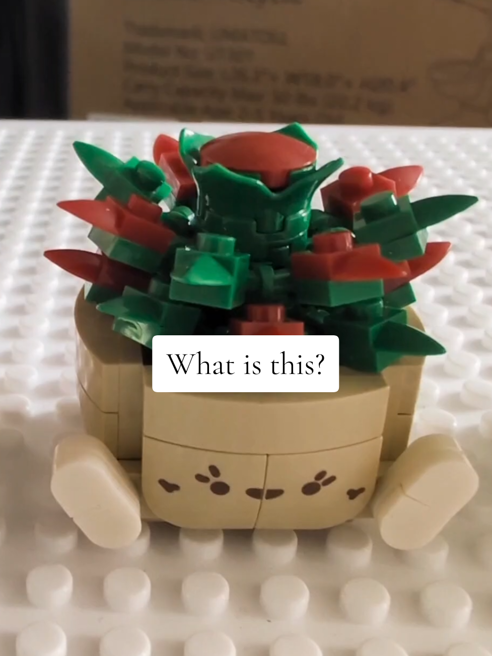@Starr(DigiMom)SmartFinds