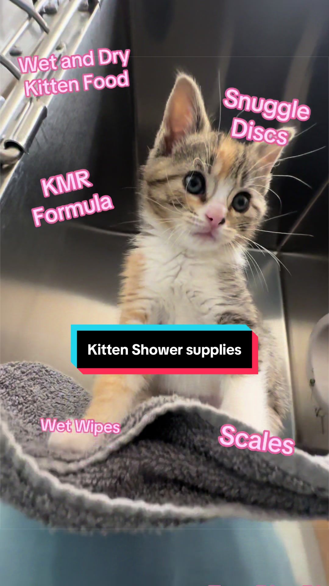 @PAWS