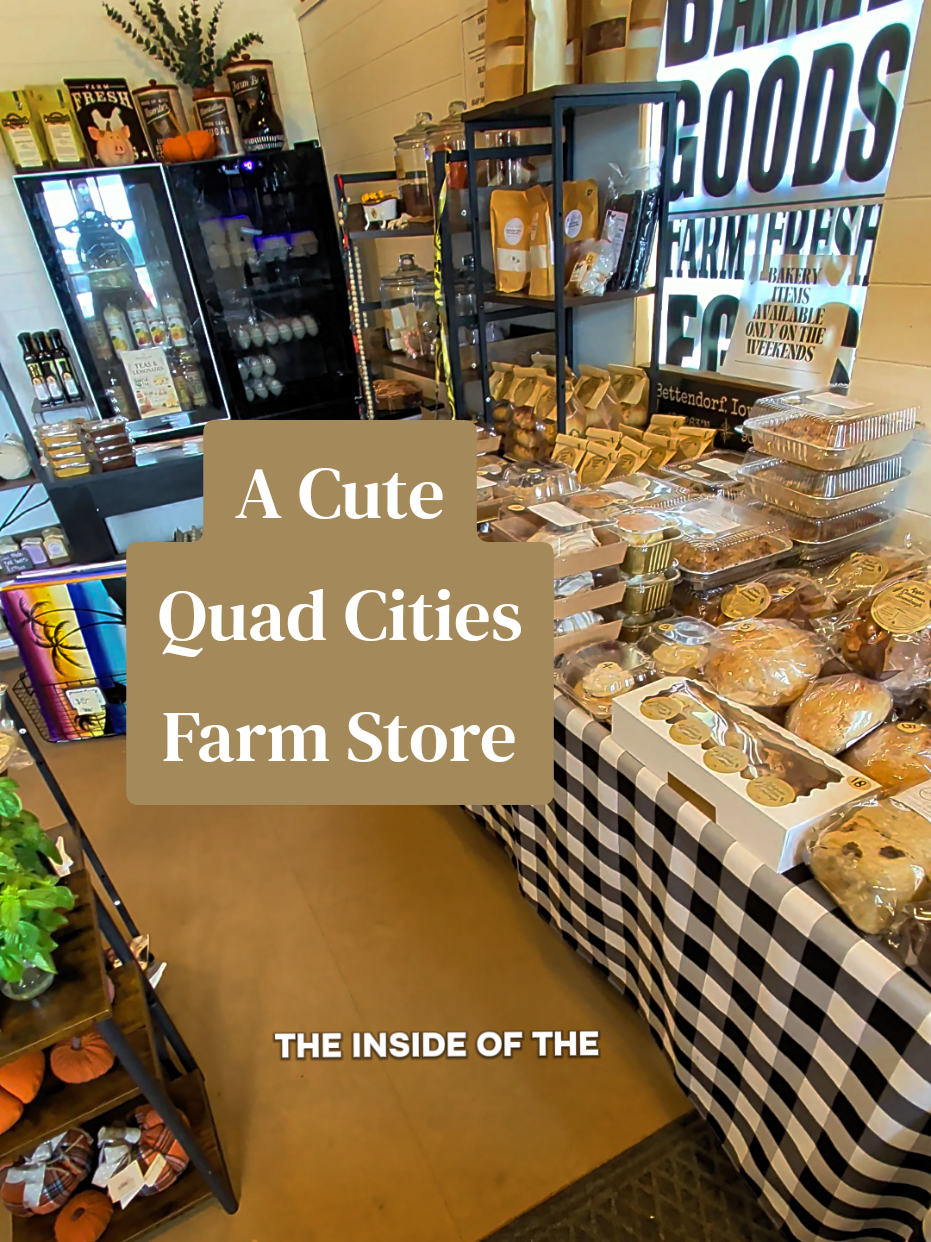 @Lauren | Books, Blooms & Bites