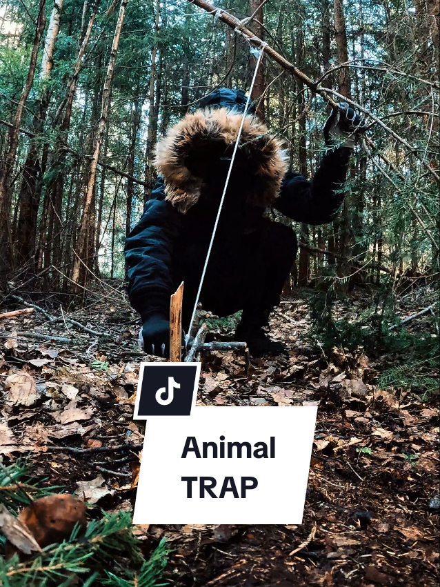 @PROSTECT
