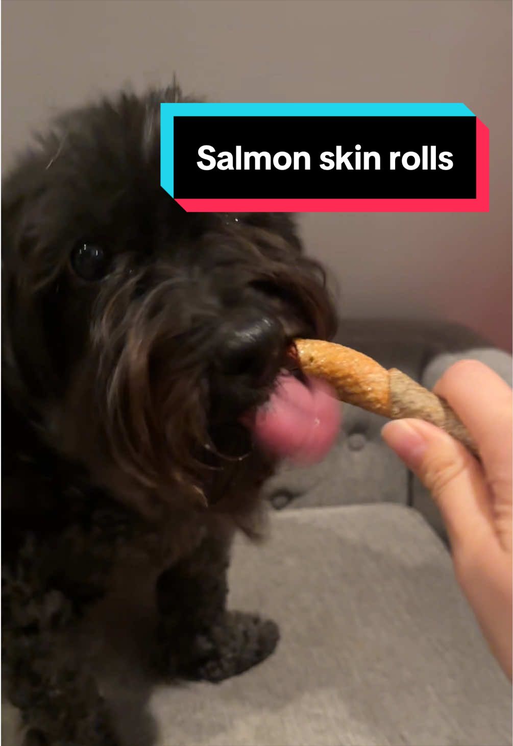 @meloncreamcat