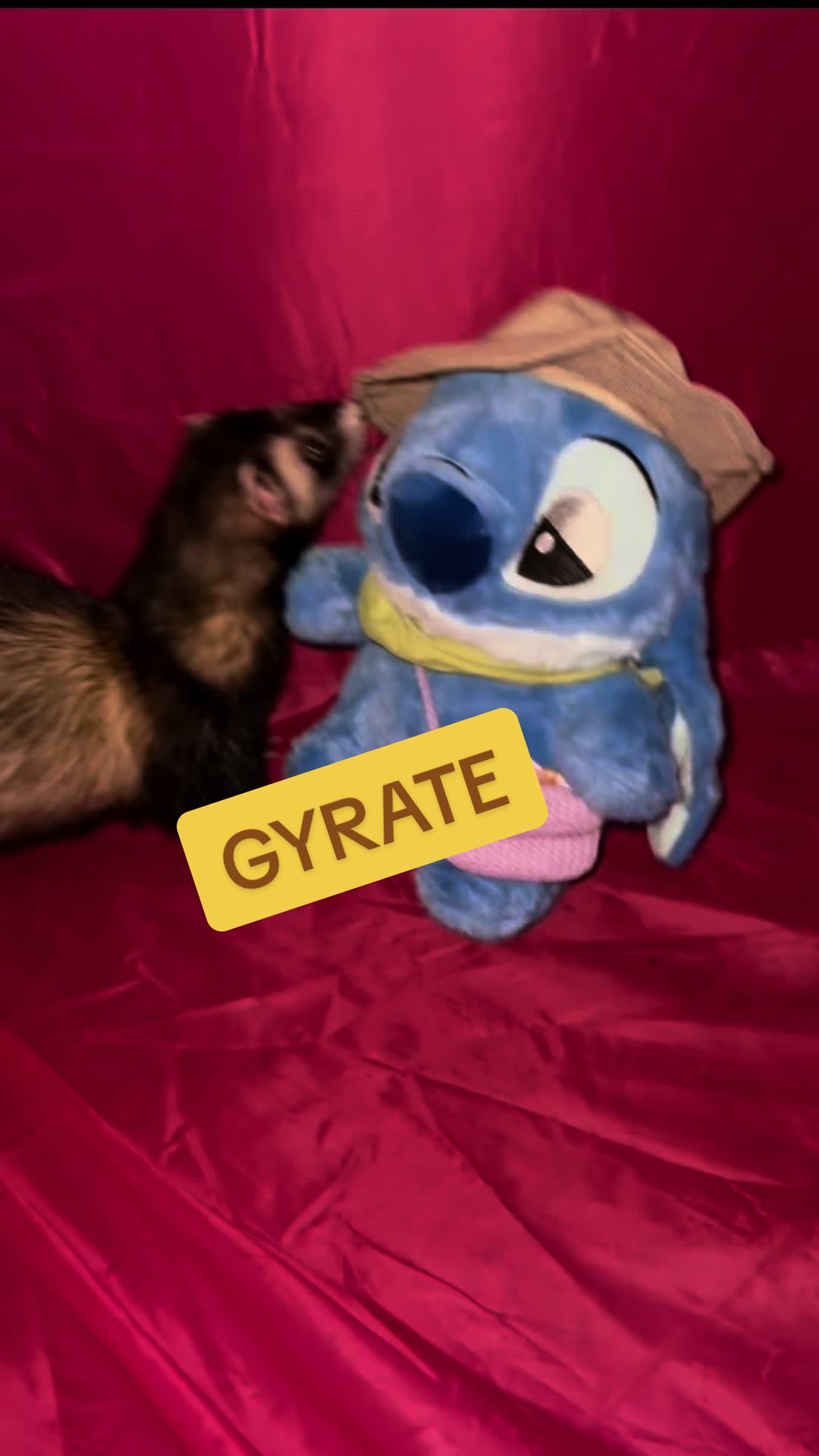 @Veritologic