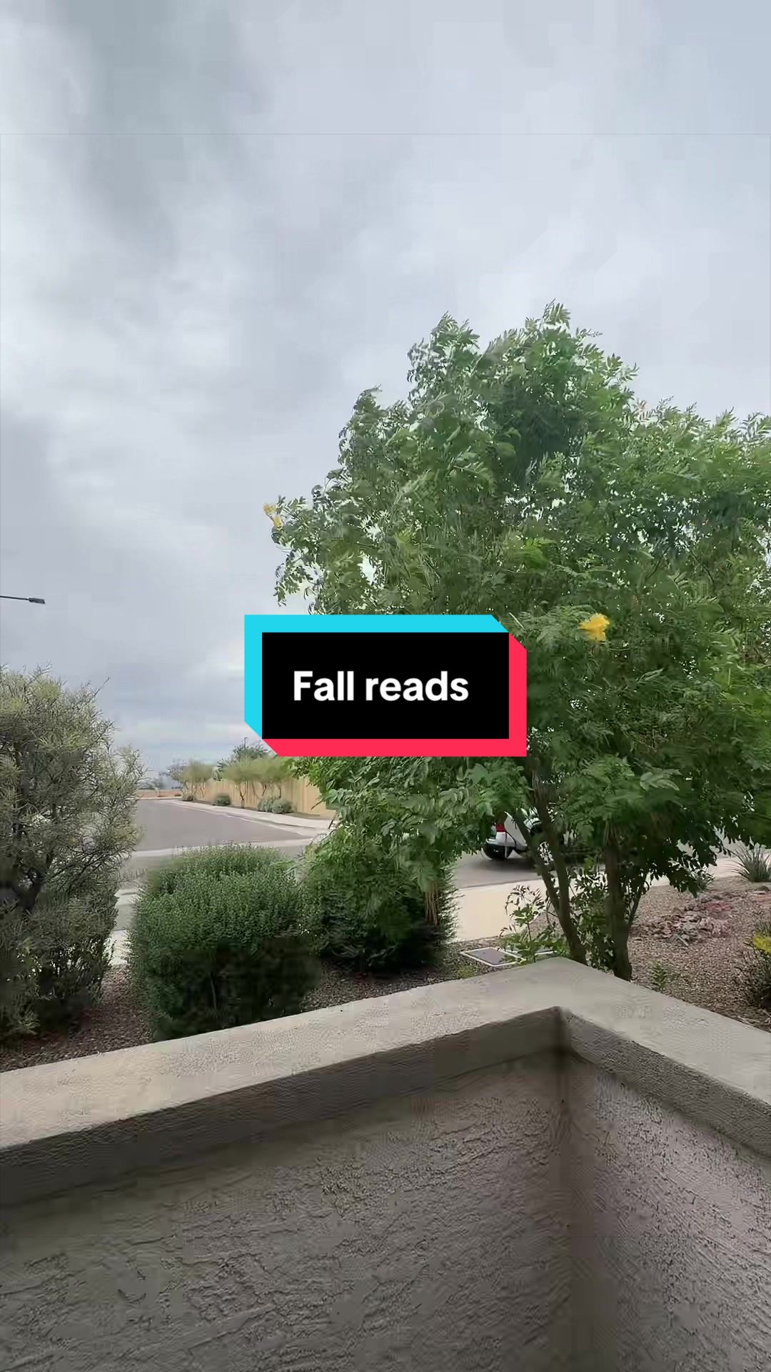 @Ashleigh | Booktok 📖🦋✨