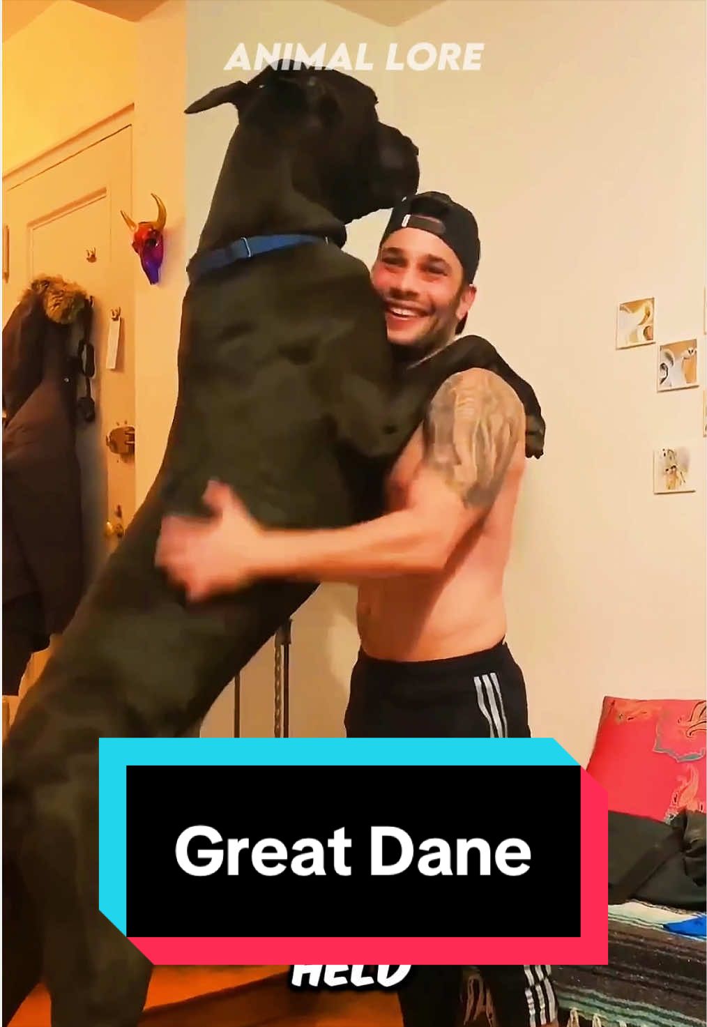 @ANIMAL LORE