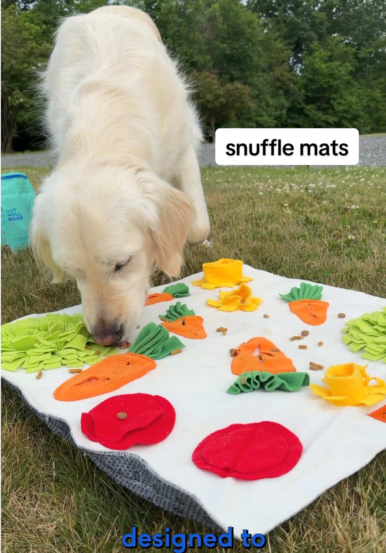 @Native Pet