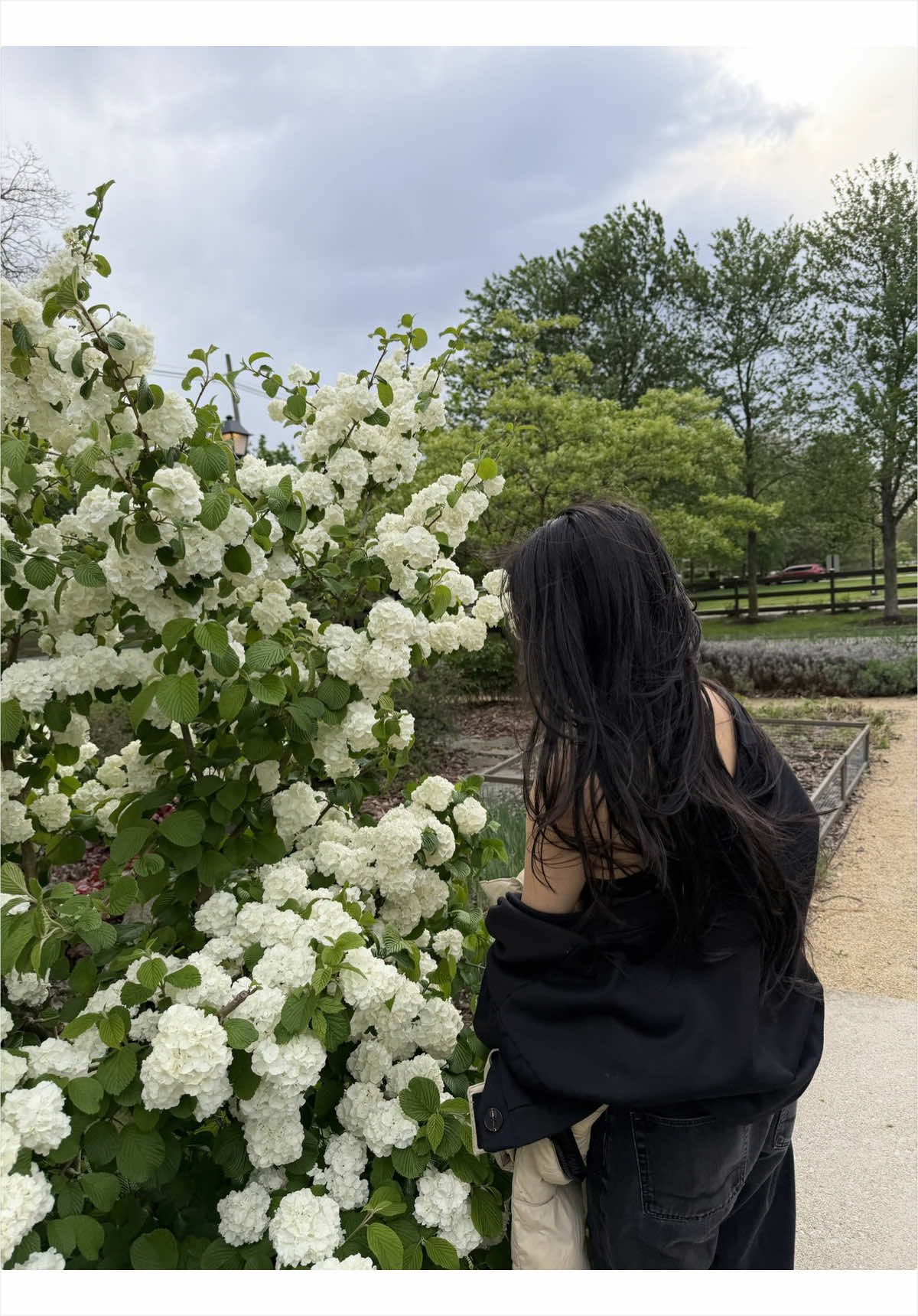 @Lynn 🌹