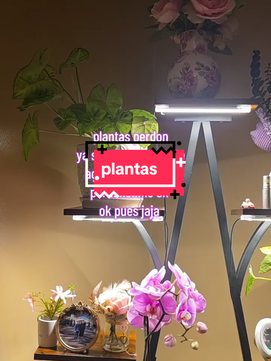 @✾🩷ᴍᴀʀᴛɪɴᴀ ʀᴇʏᴇs ᴍᴀʟᴅᴏɴᴀᴅᴏ🩷 ✾