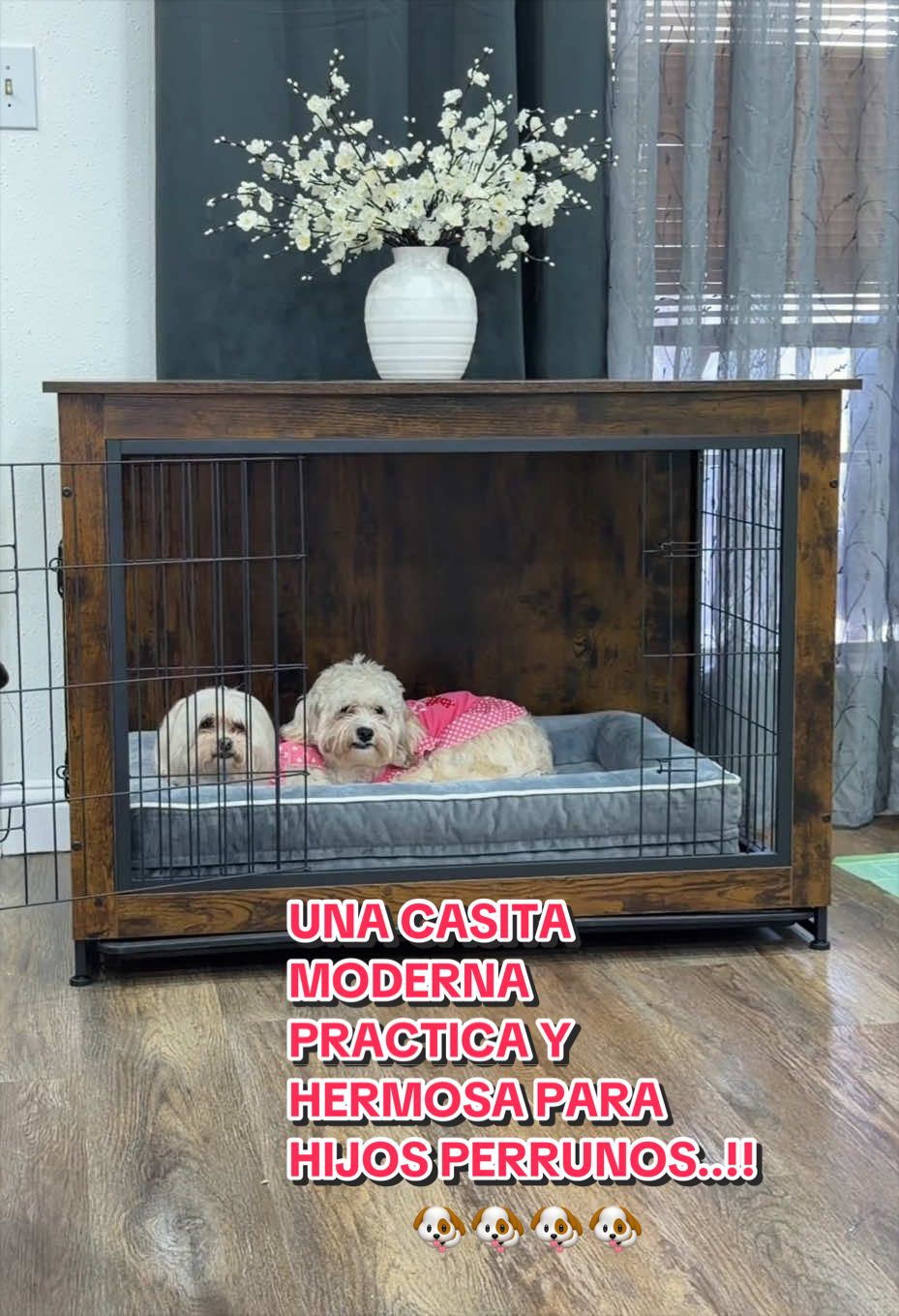 @Laclau