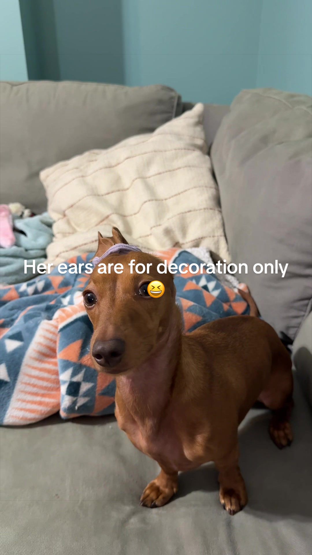 @Sarah and the Peanuts