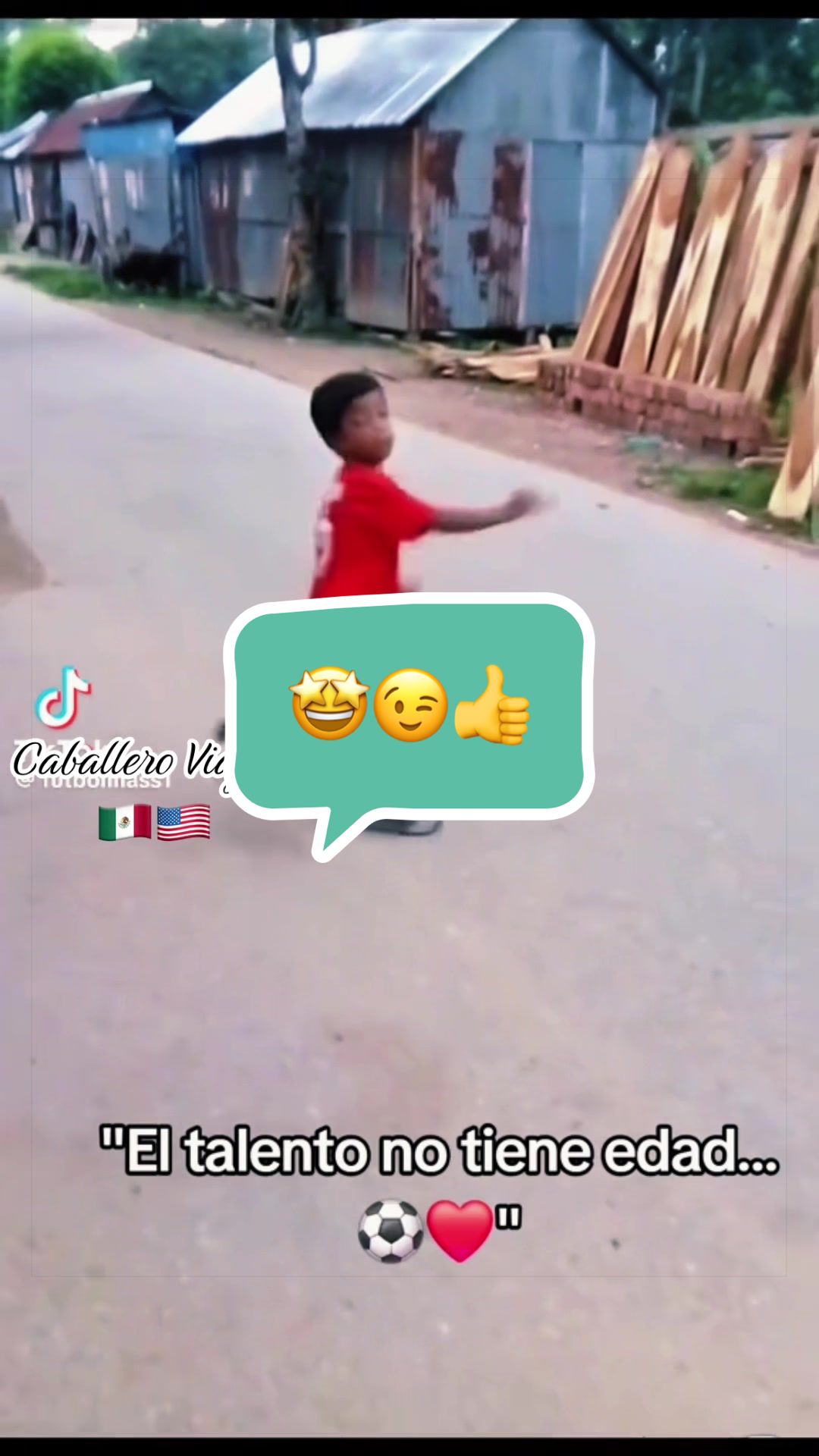 @caballeroviajero0317