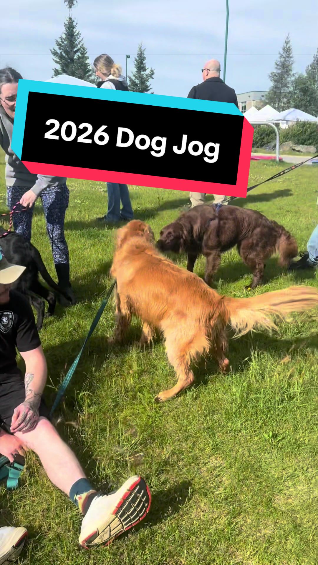 @Anchorage Animal Care Control
