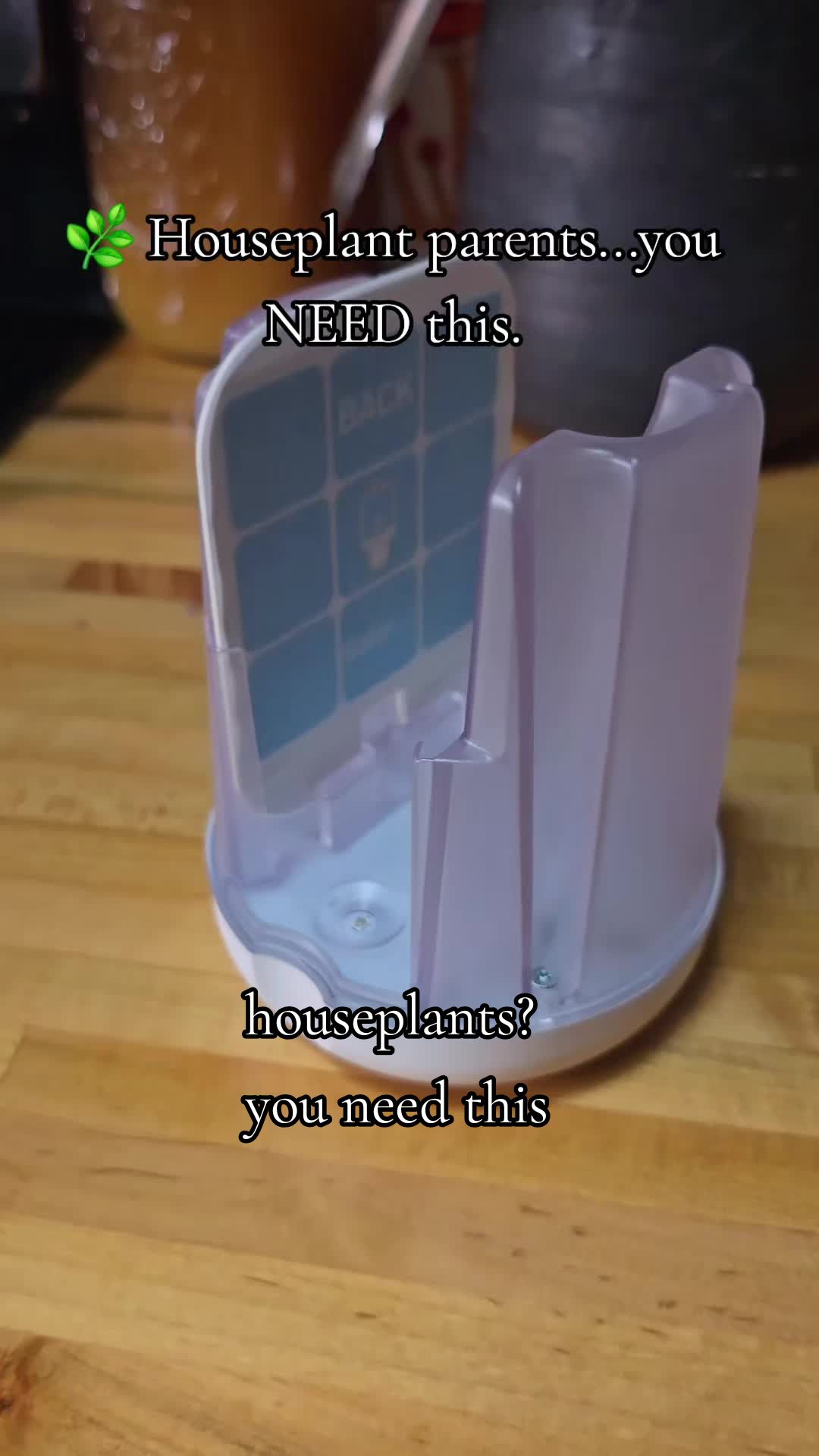 @𝓚𝓪𝓽 𝓦𝓱𝓮𝓮𝓵𝓮𝓻🐈⬛