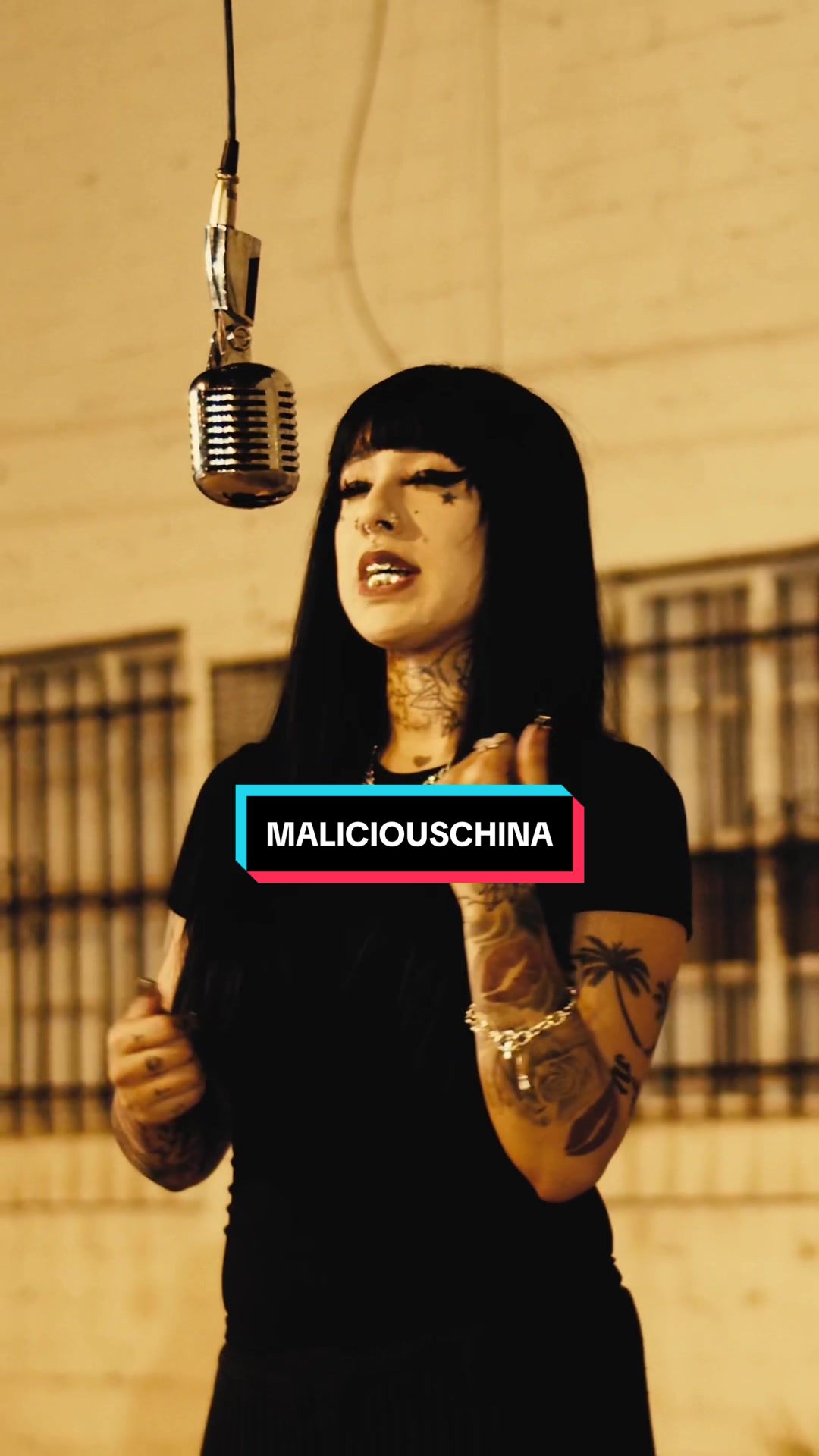 @MALICIOUS CHINA