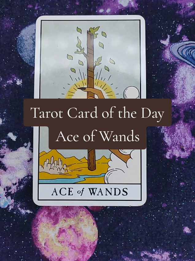 @🦉🧿🌵💜PaganRider💜♍🔮🍉