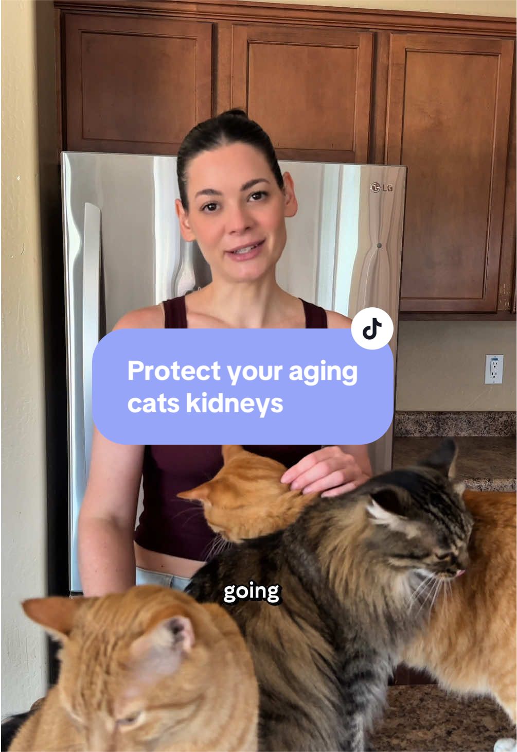 @Feminist Kitty | Cat Nutrition