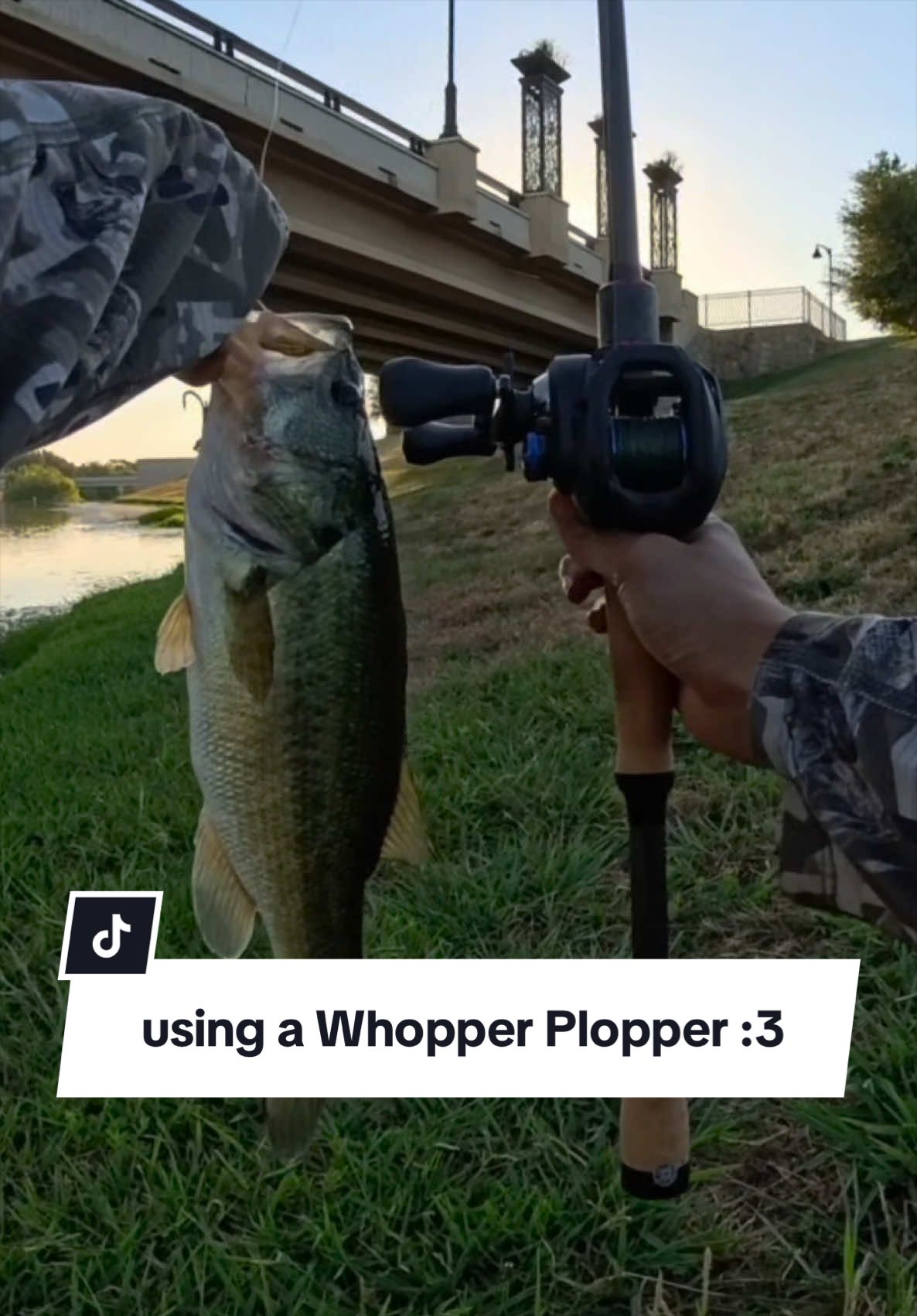 @fishingbri