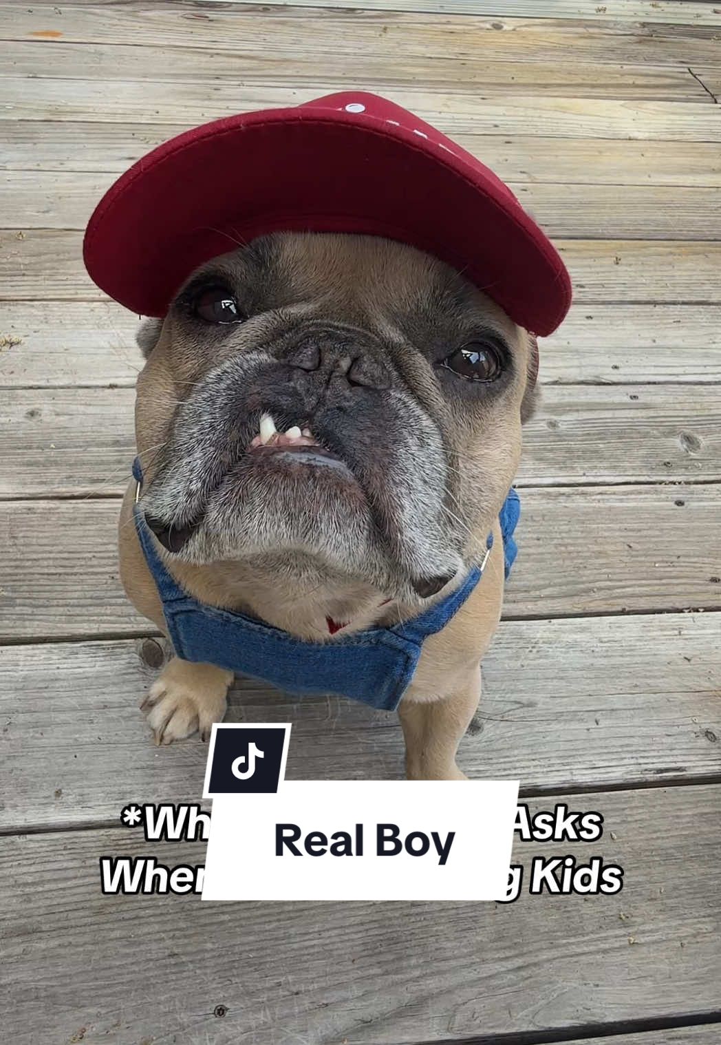 @Somefrenchienamedapollo