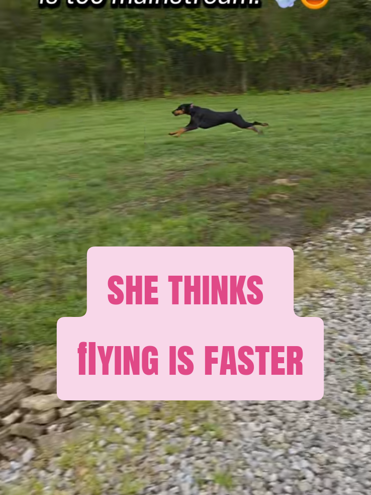 @Dobergoats Cash & Kaia