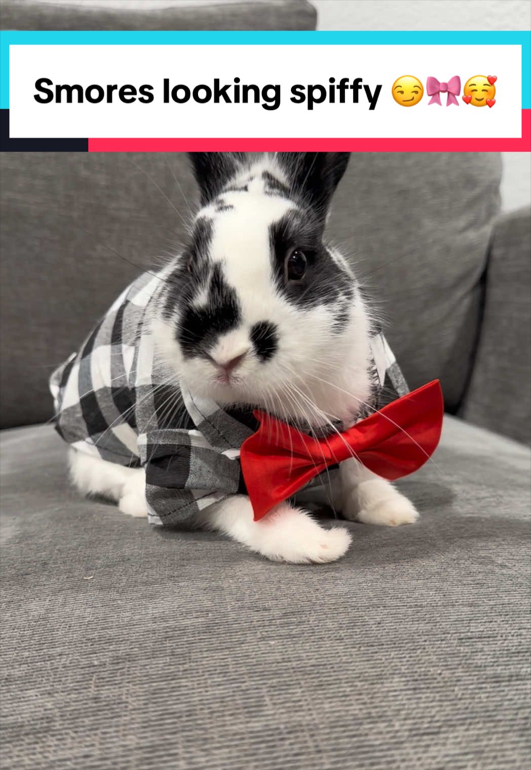 @bunsandhustles