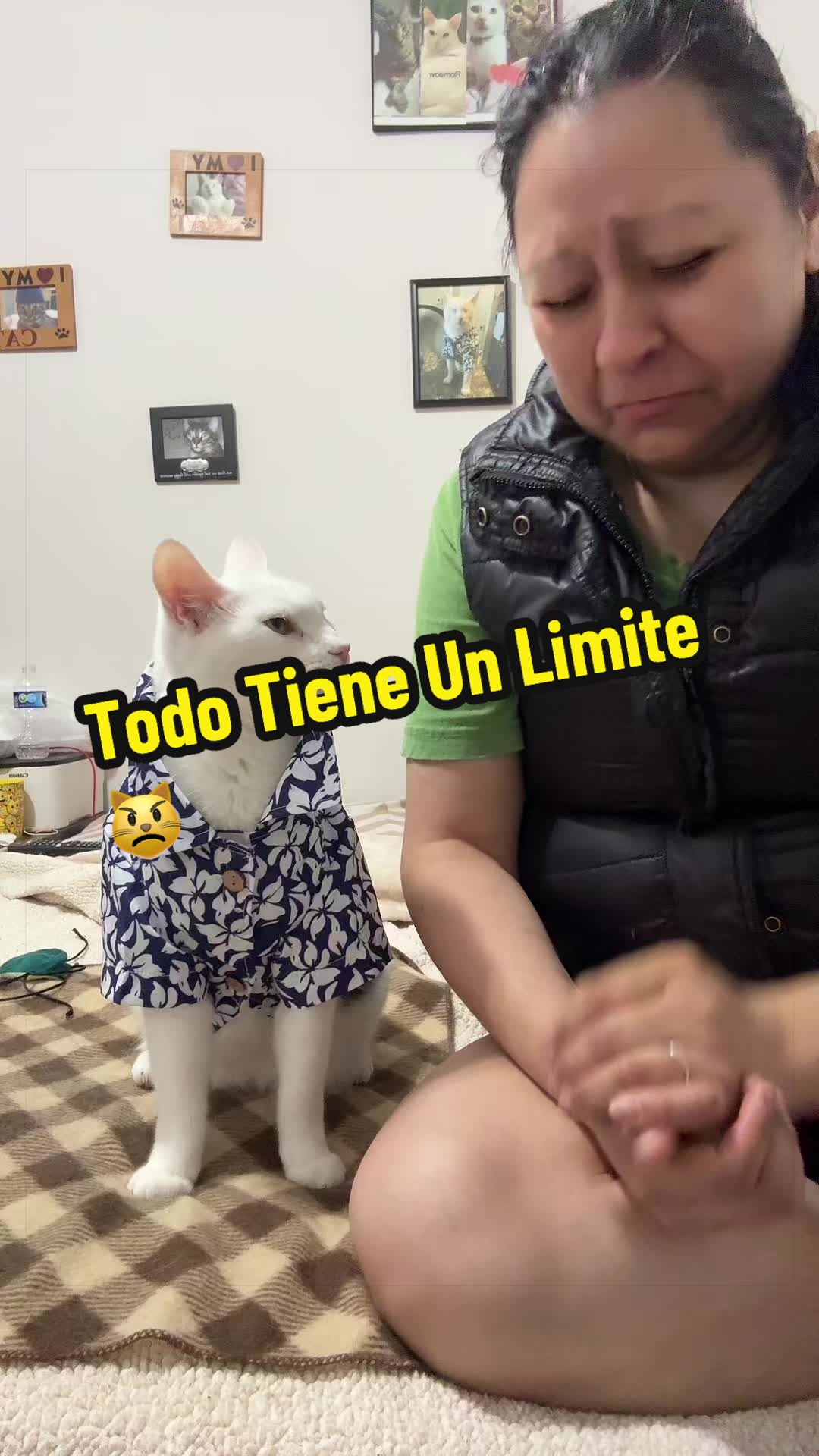 @🦖 MEOWassic CAT😺