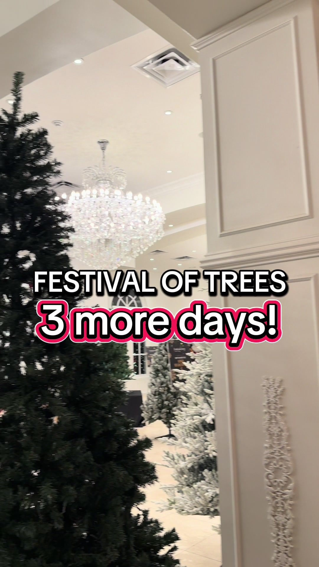 @Festival of Trees