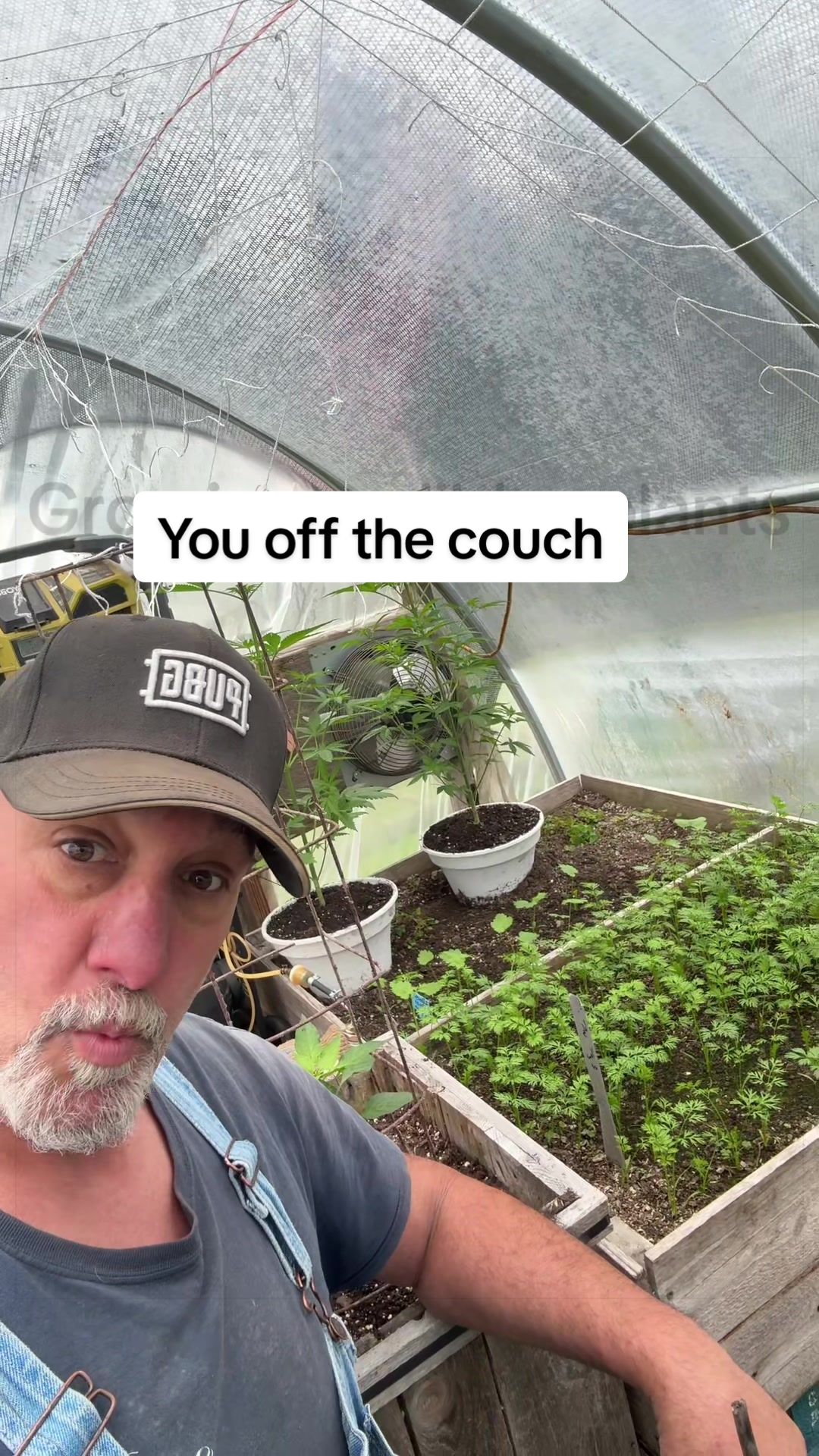 @GROWING_EDIBLE_PLANTS