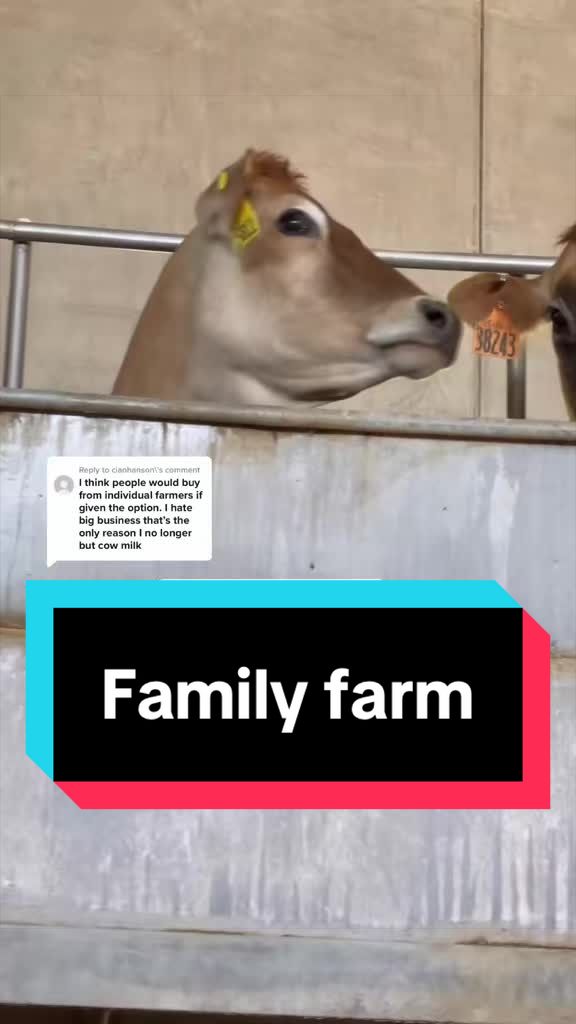 @Dairy Vet Dr. Michelle