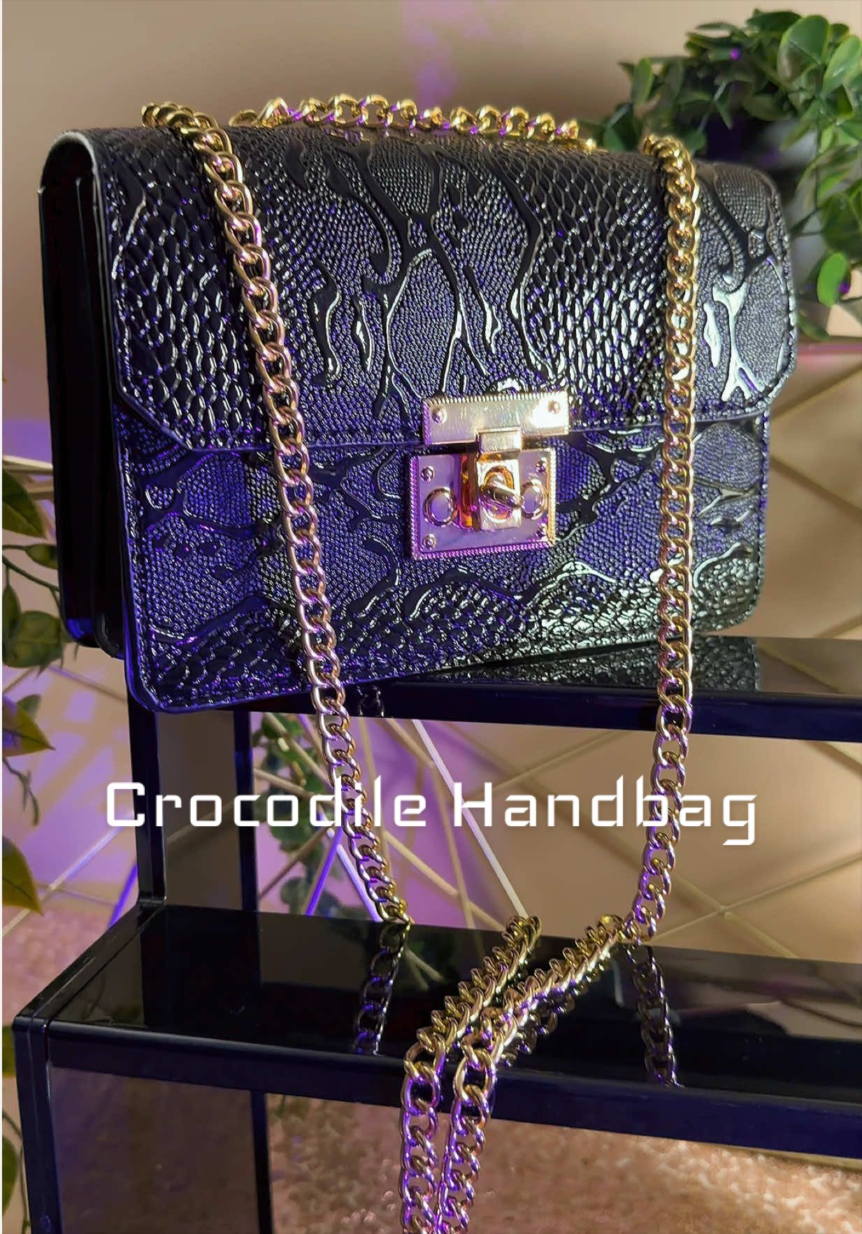 @Toddy Nachelle 🫶🏽