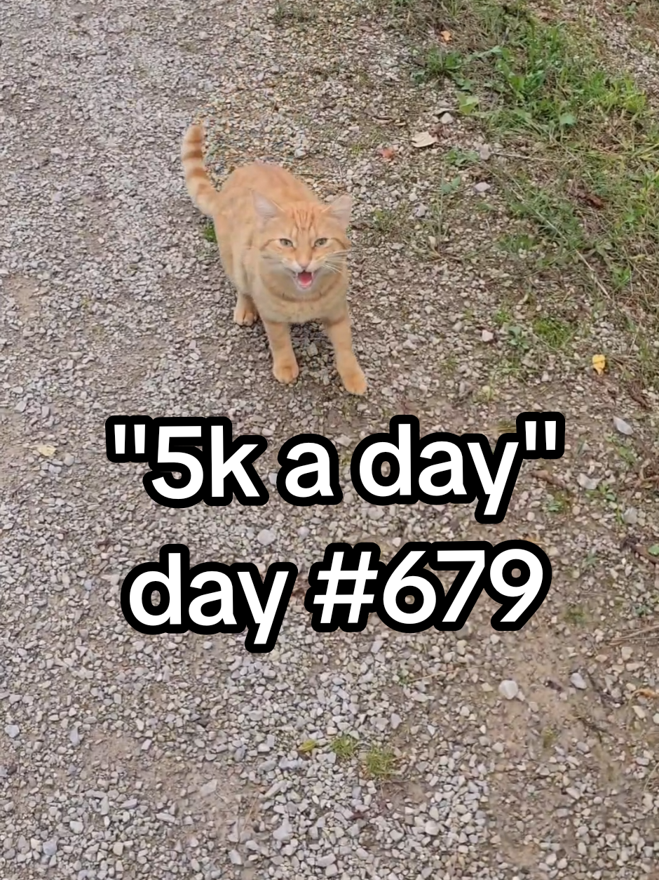 @PJ "5kAday"