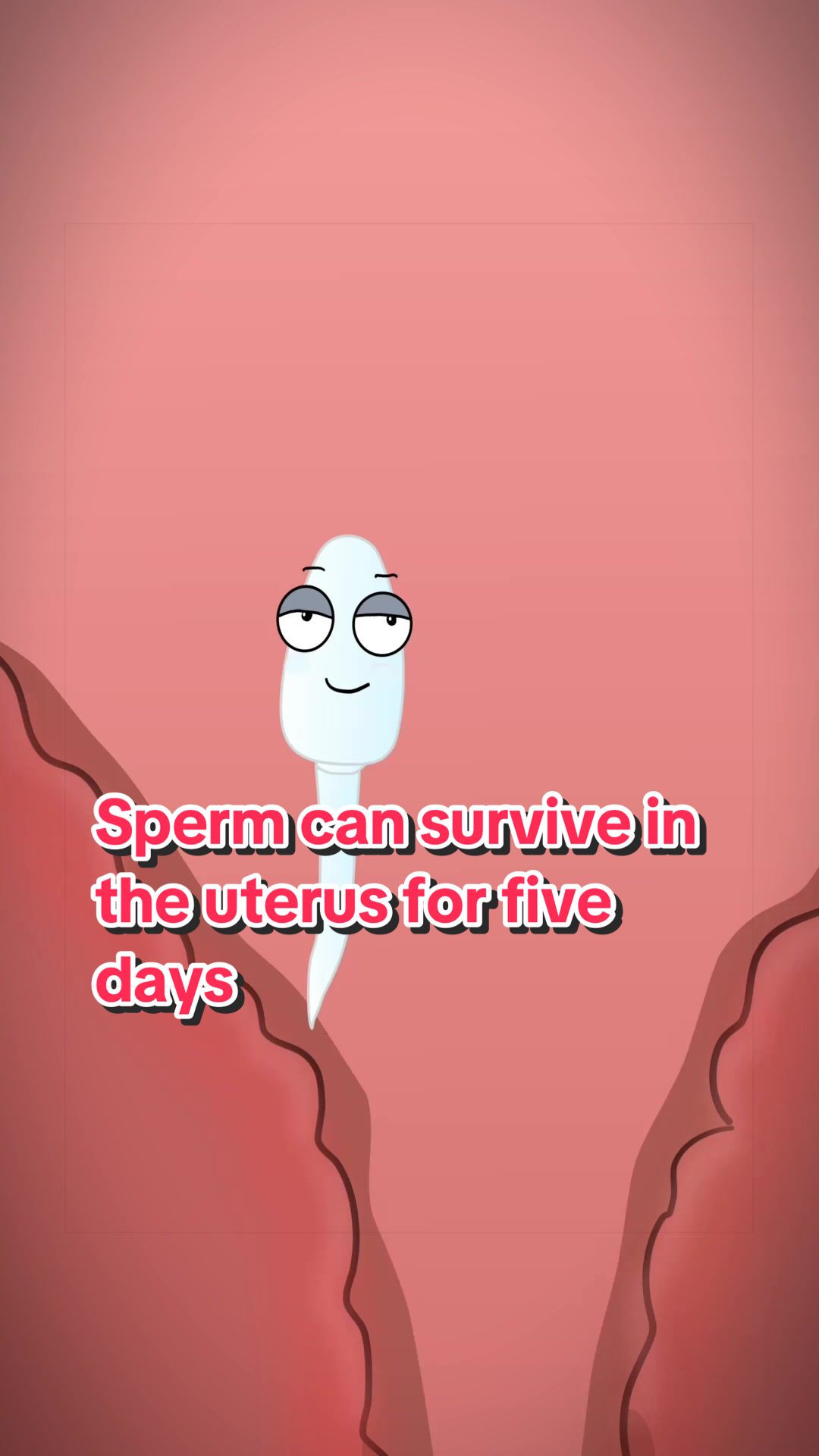 @Funny Animations