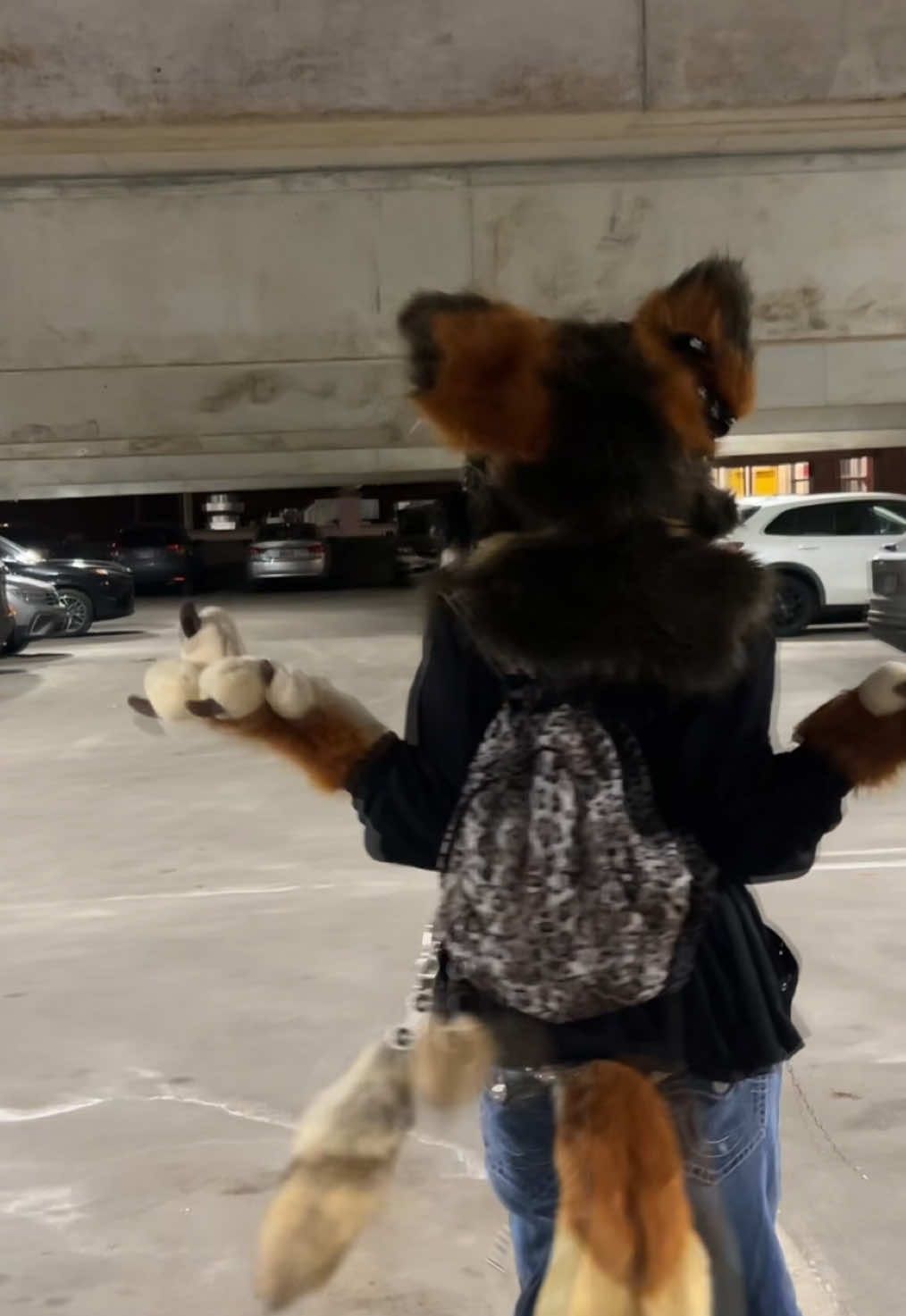 @furtanyl🐺