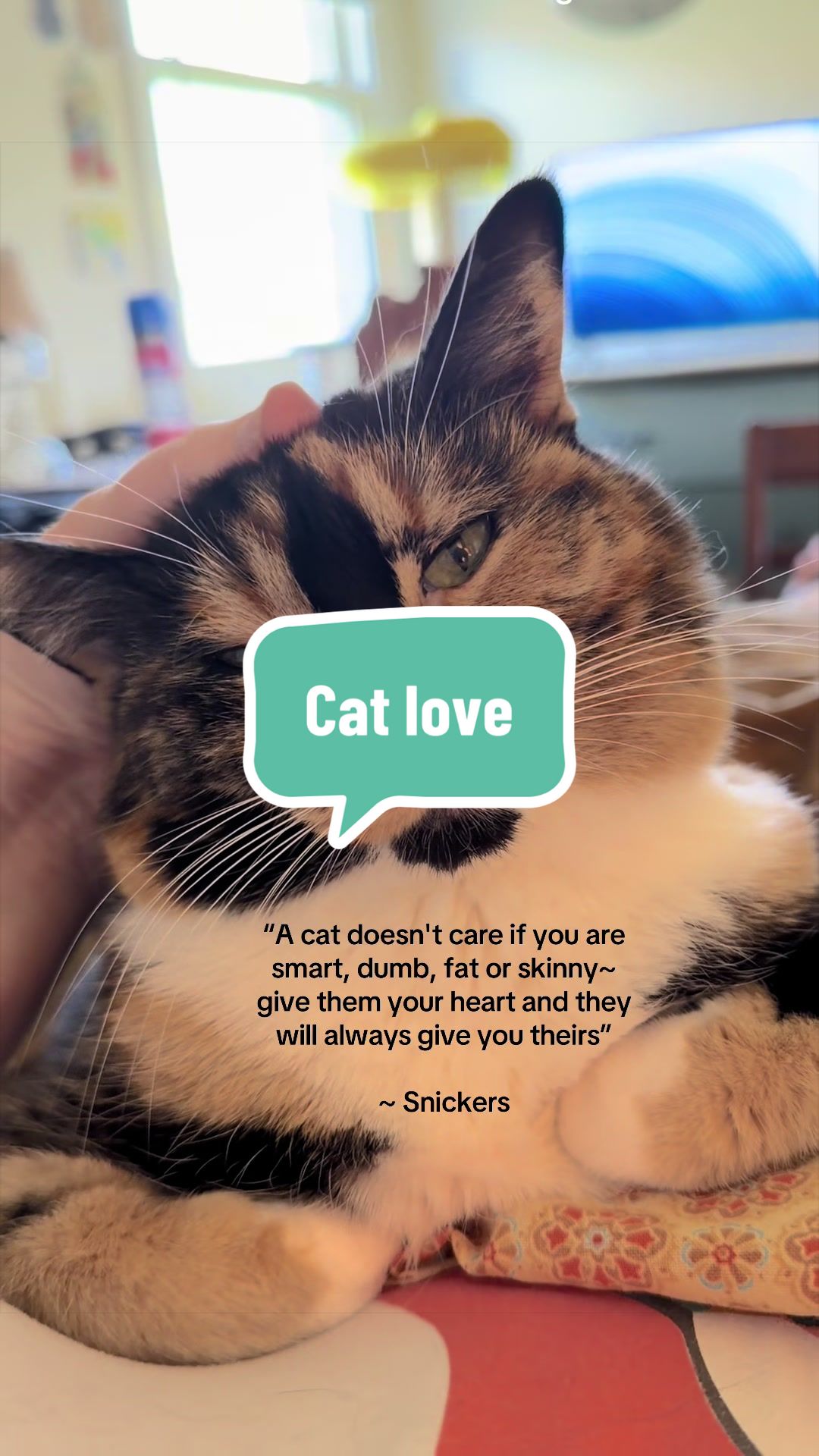 @SnickersTheSmilingCat