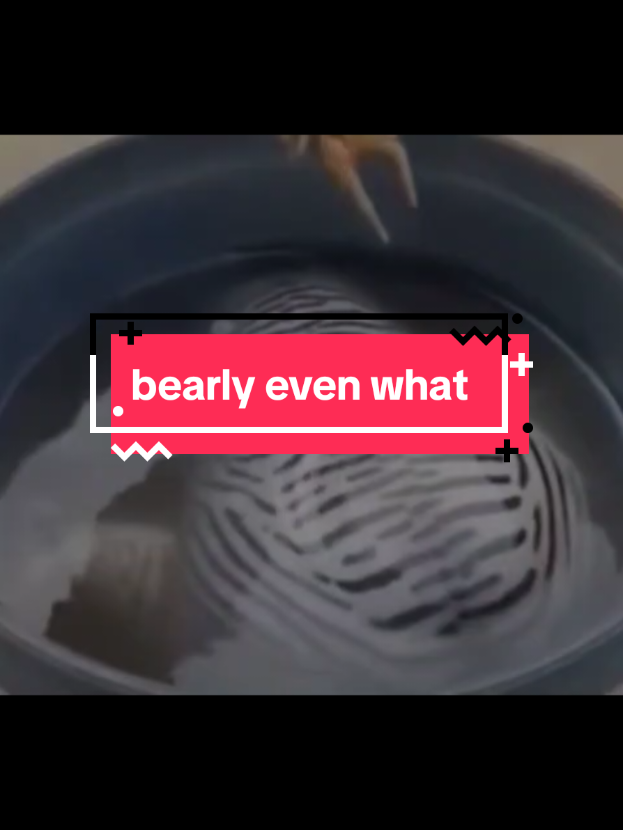 @bearlyconspiracies