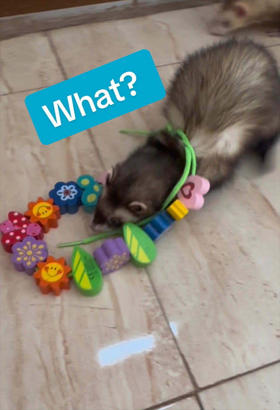 @Veritologic