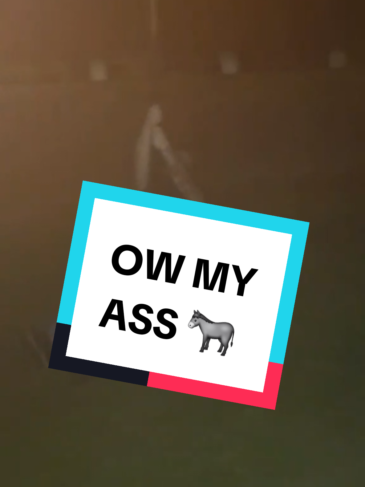 @Uncle Carl/Conquest
