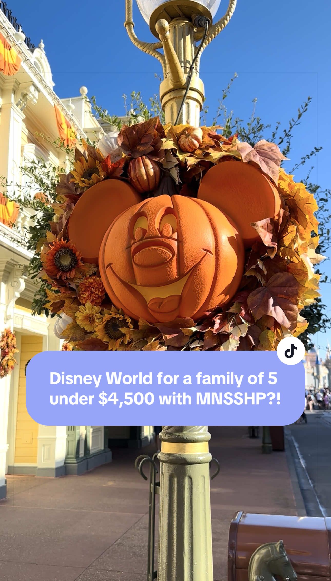 @Mackenzie|Travel Agent|Disney