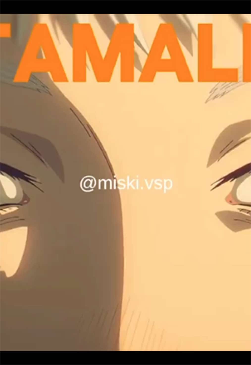 @Miski.vsp