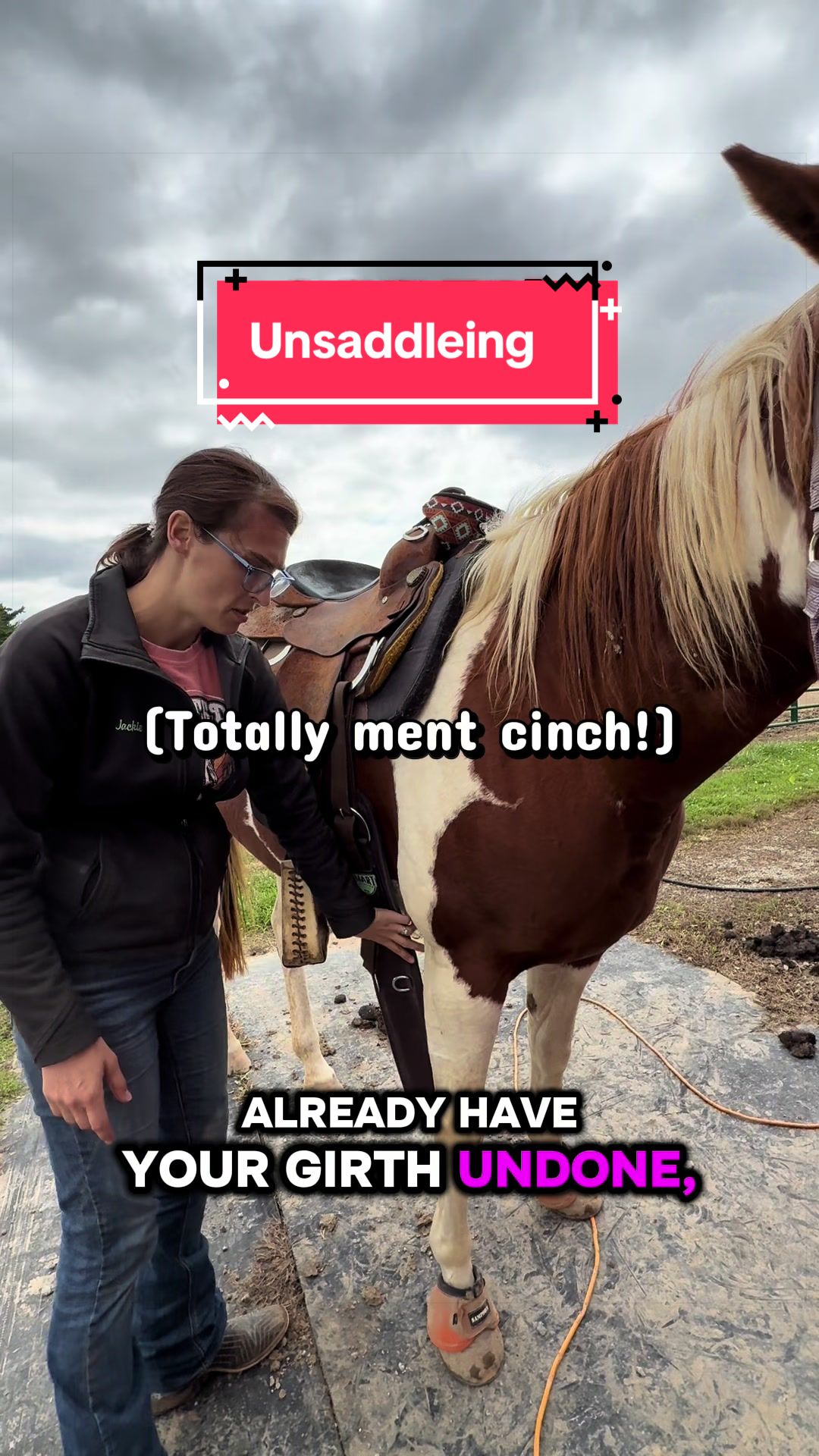@yourhorseandponyleader