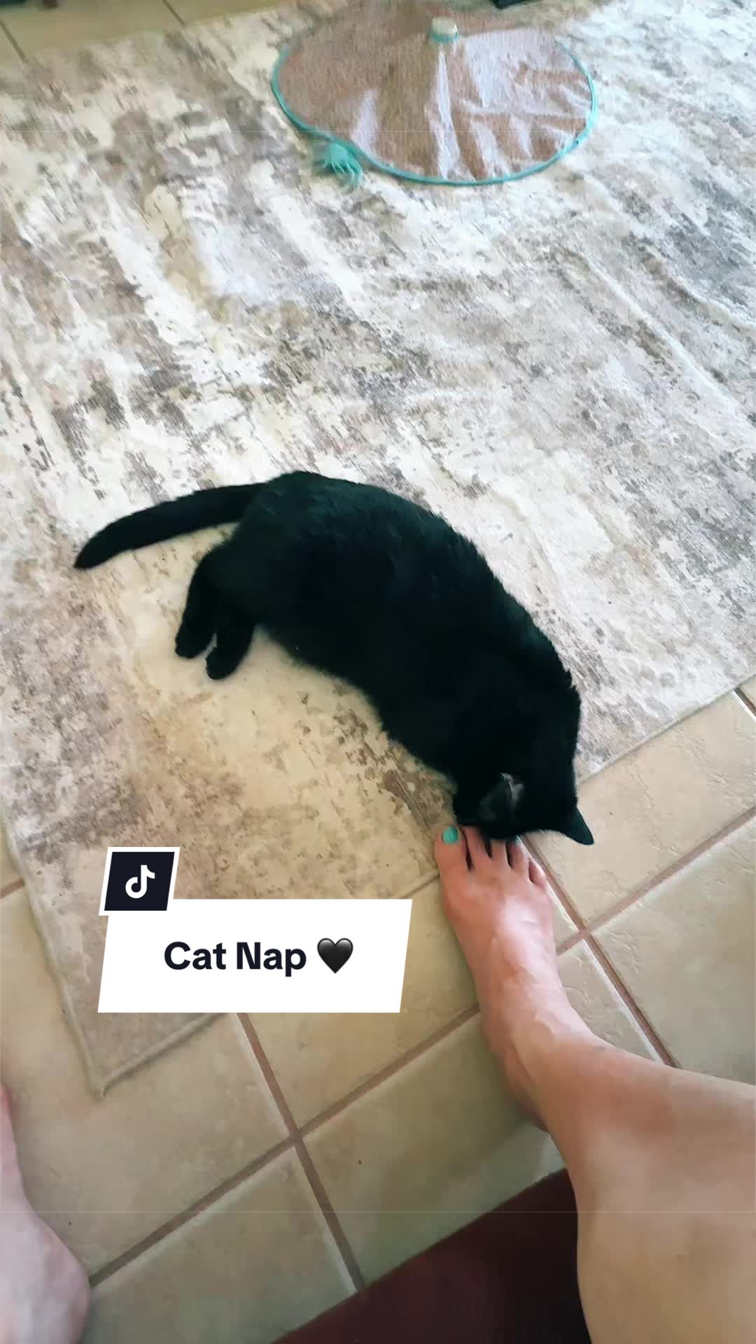 @th0vy