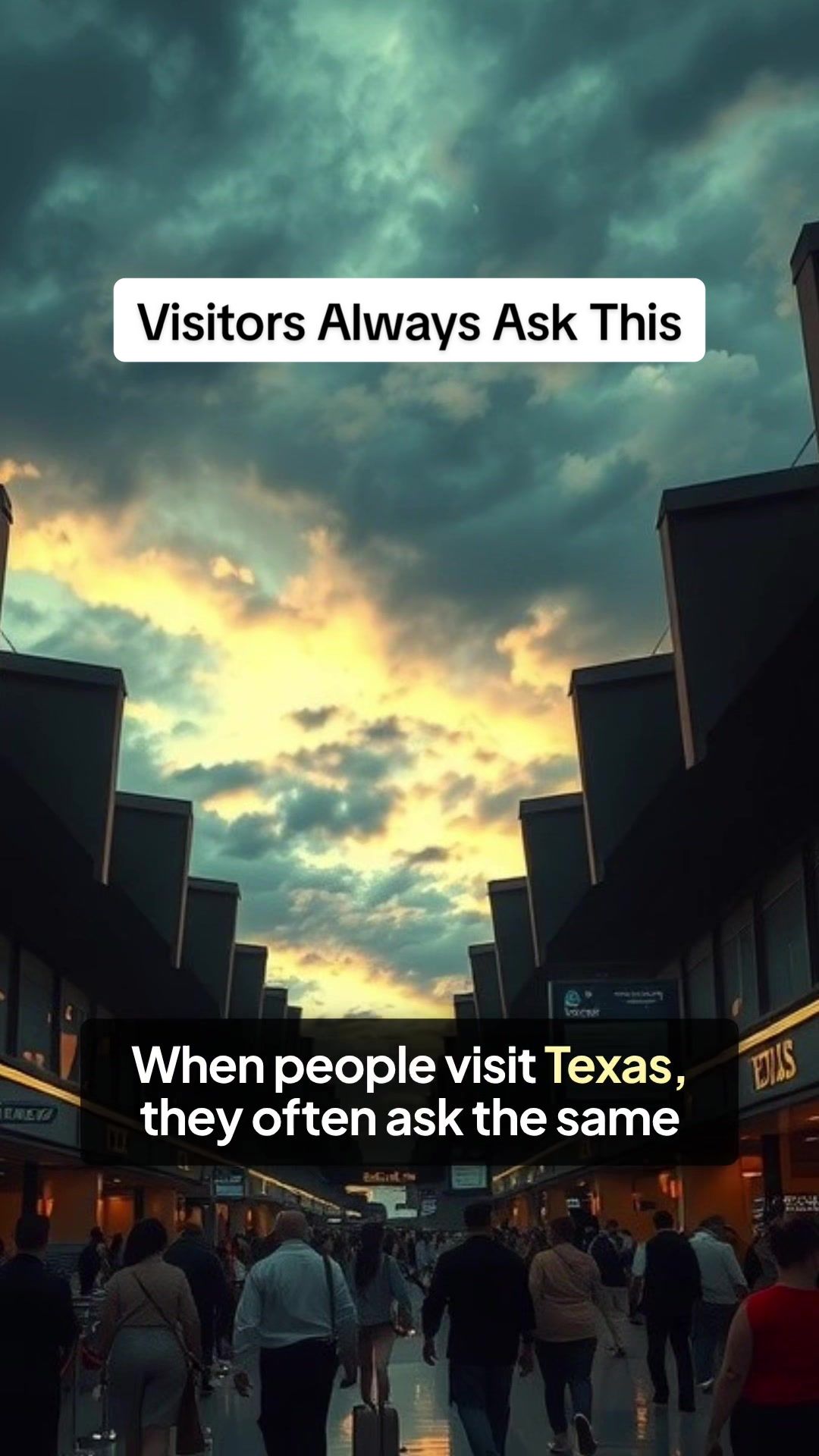 @Texas Untamed