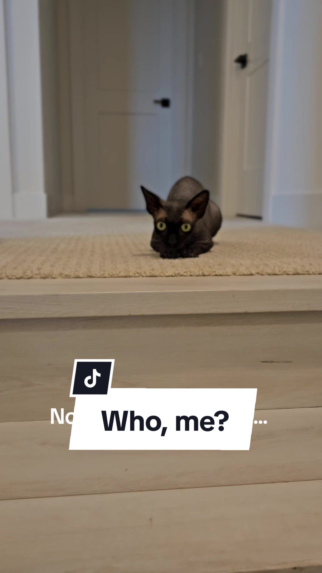 @kyoto.jack.sphynx