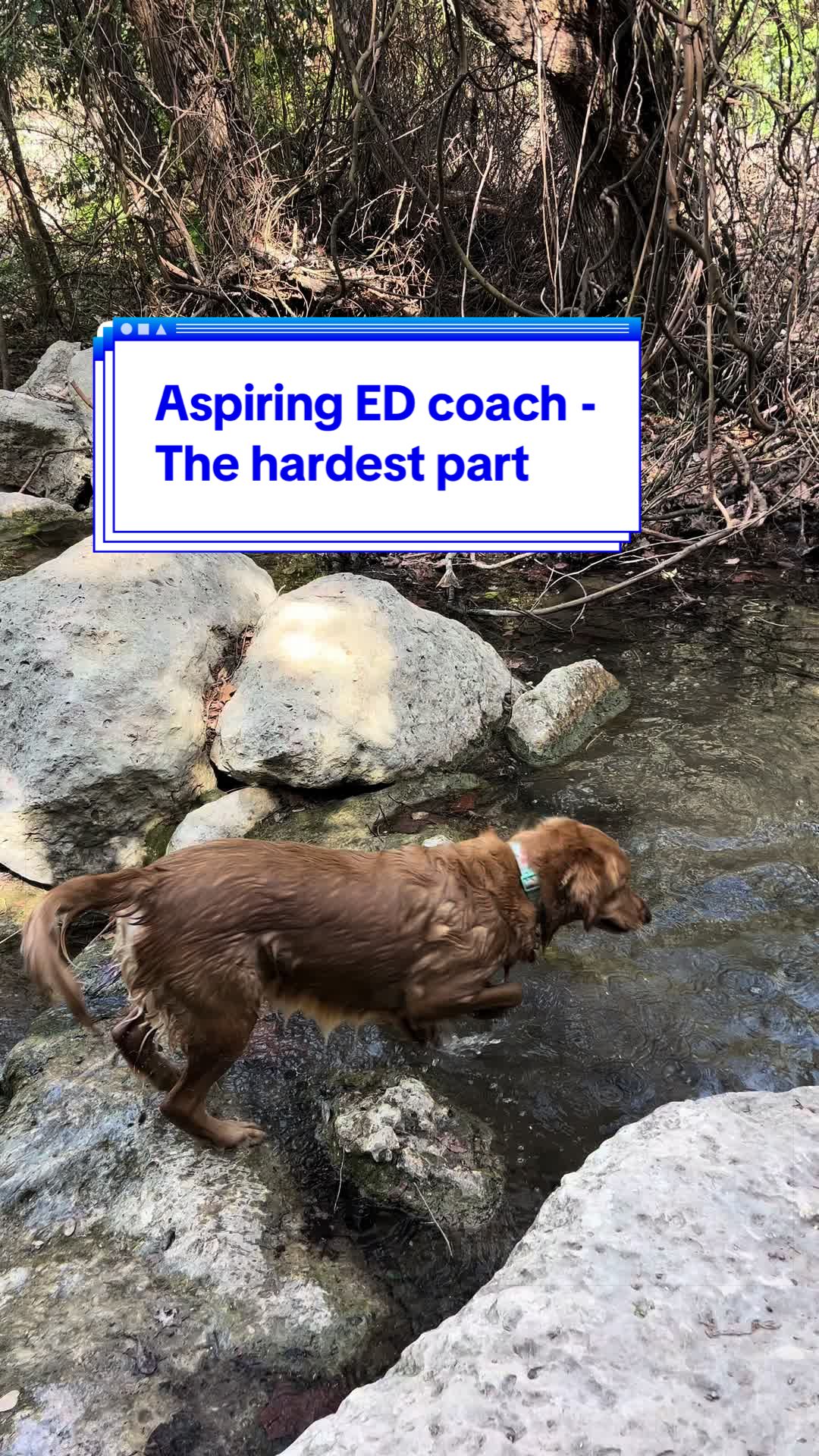 @Lindsay ✨ ED Coach Expert