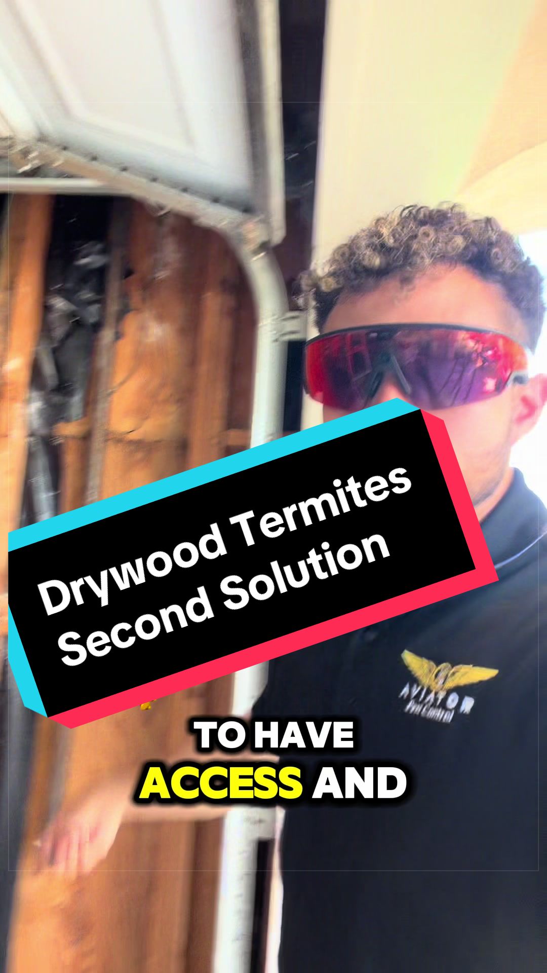 @Aviator Pest Control