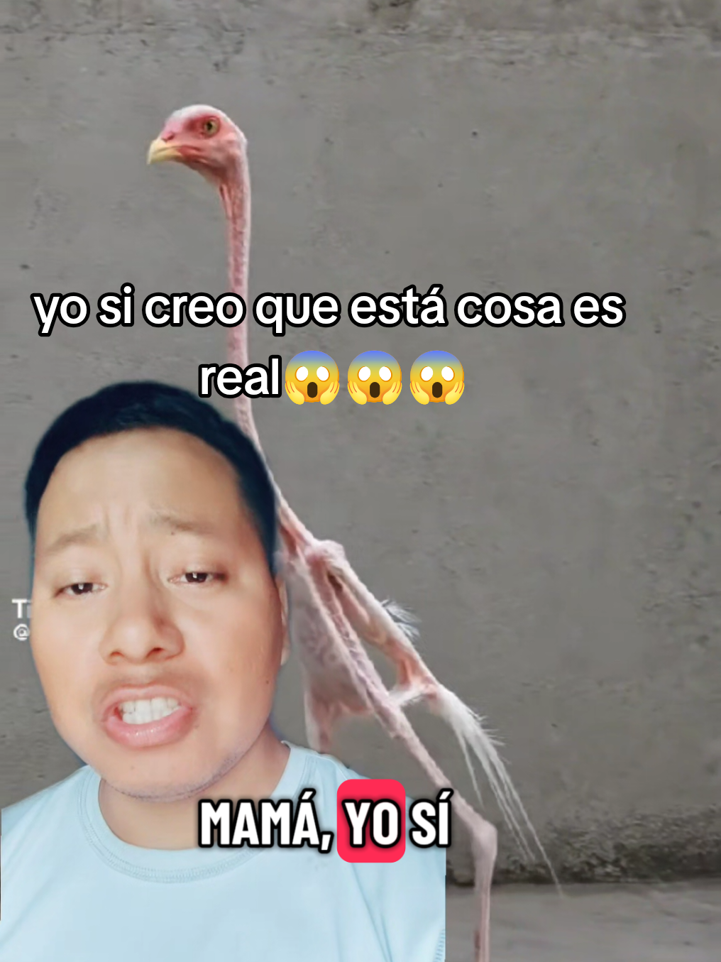 @JerBer